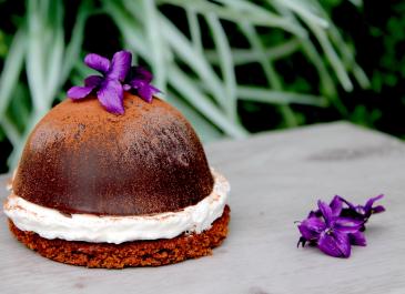 Dôme poire chocolat violette